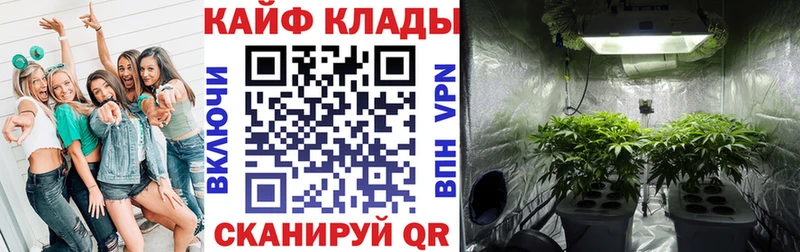 Купить закладку ГАШ КОКАИН Псилоцибиновые грибы Бошки Шишки Меф мяу мяу Искитим