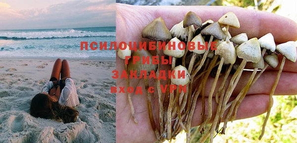 прущая мука Зеленодольск