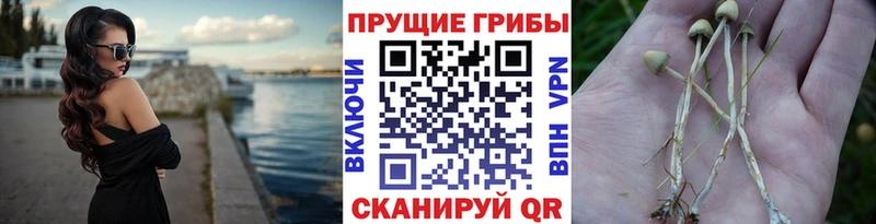 Галлюциногенные грибы мухоморы  Купить где  Искитим 